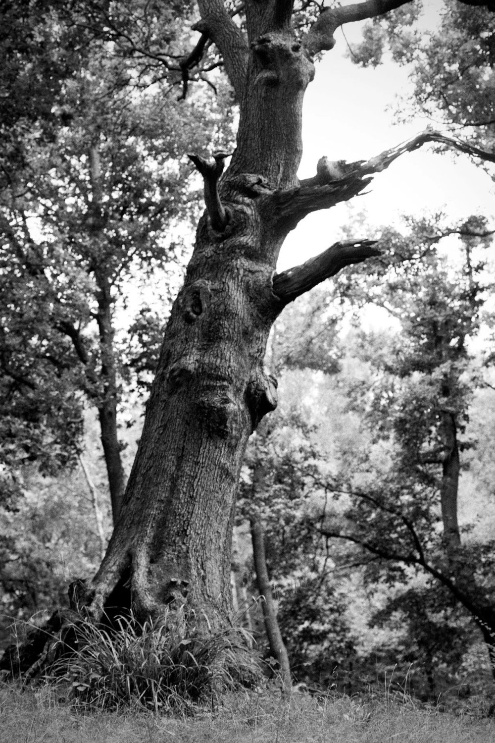 imgi_13_000061090007