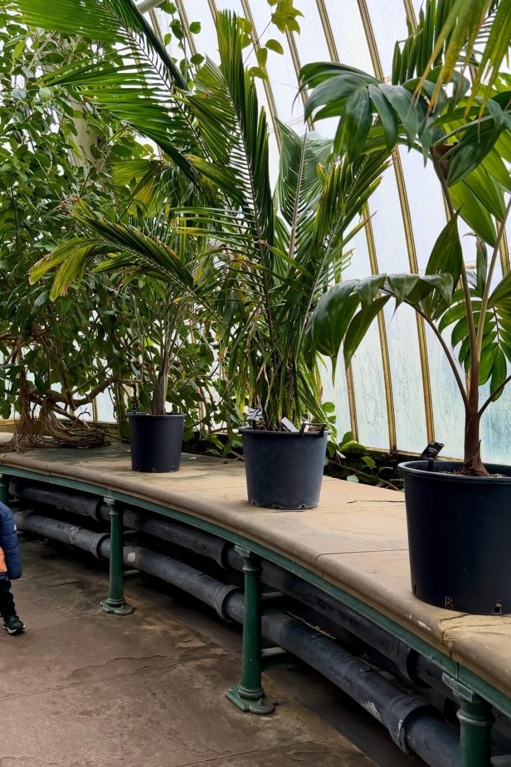 imgi_34_612246972_17897579622366913_4631220516467539751_n