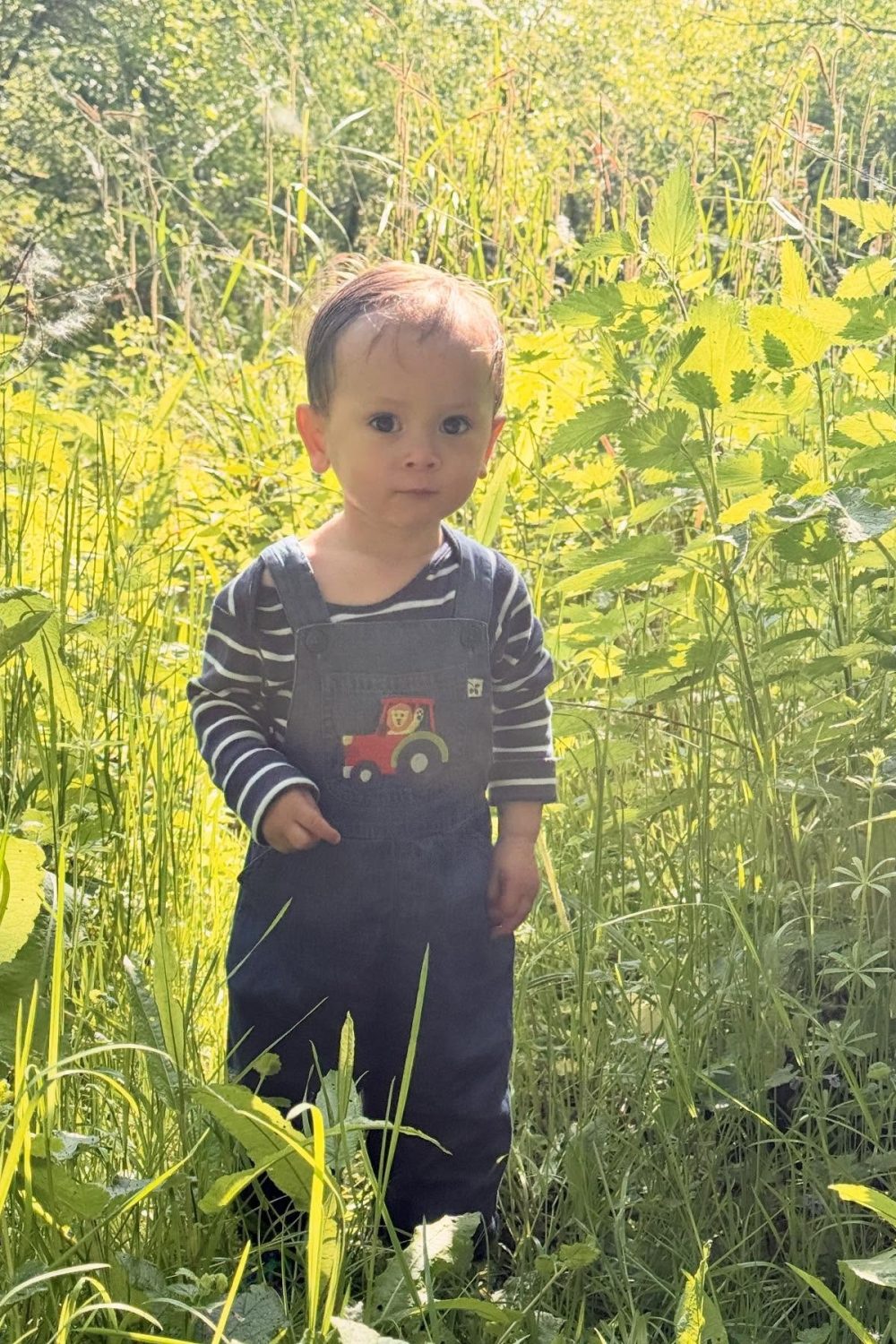 imgi_37_495436016_17868043272366913_5933498310981940733_n