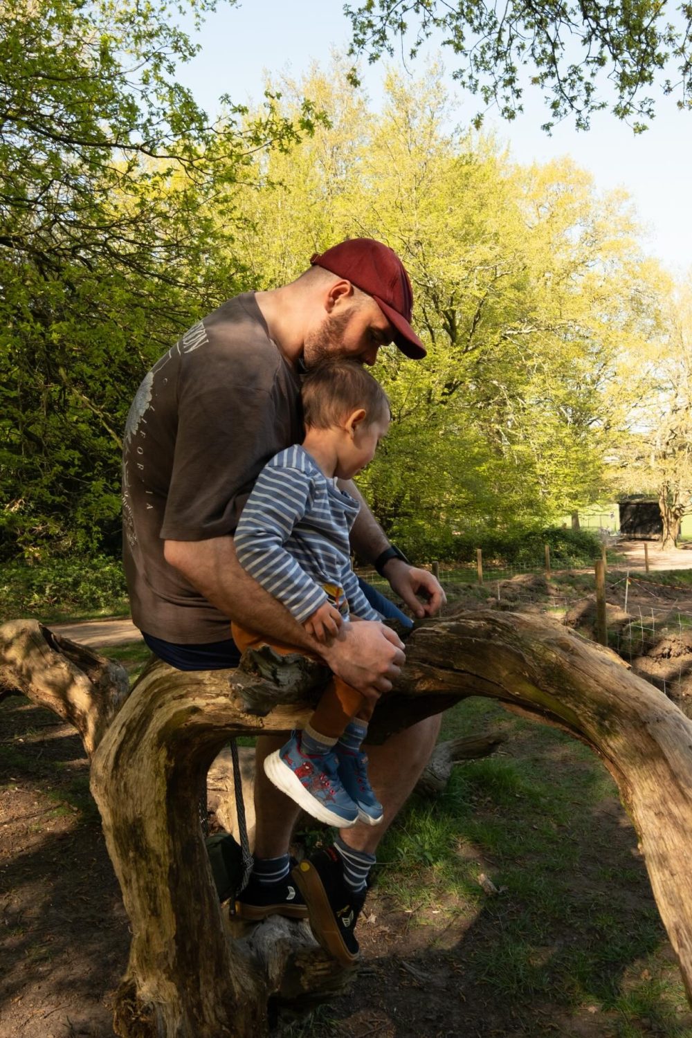 imgi_5_661683213_17910639270366913_8063258731586152901_n