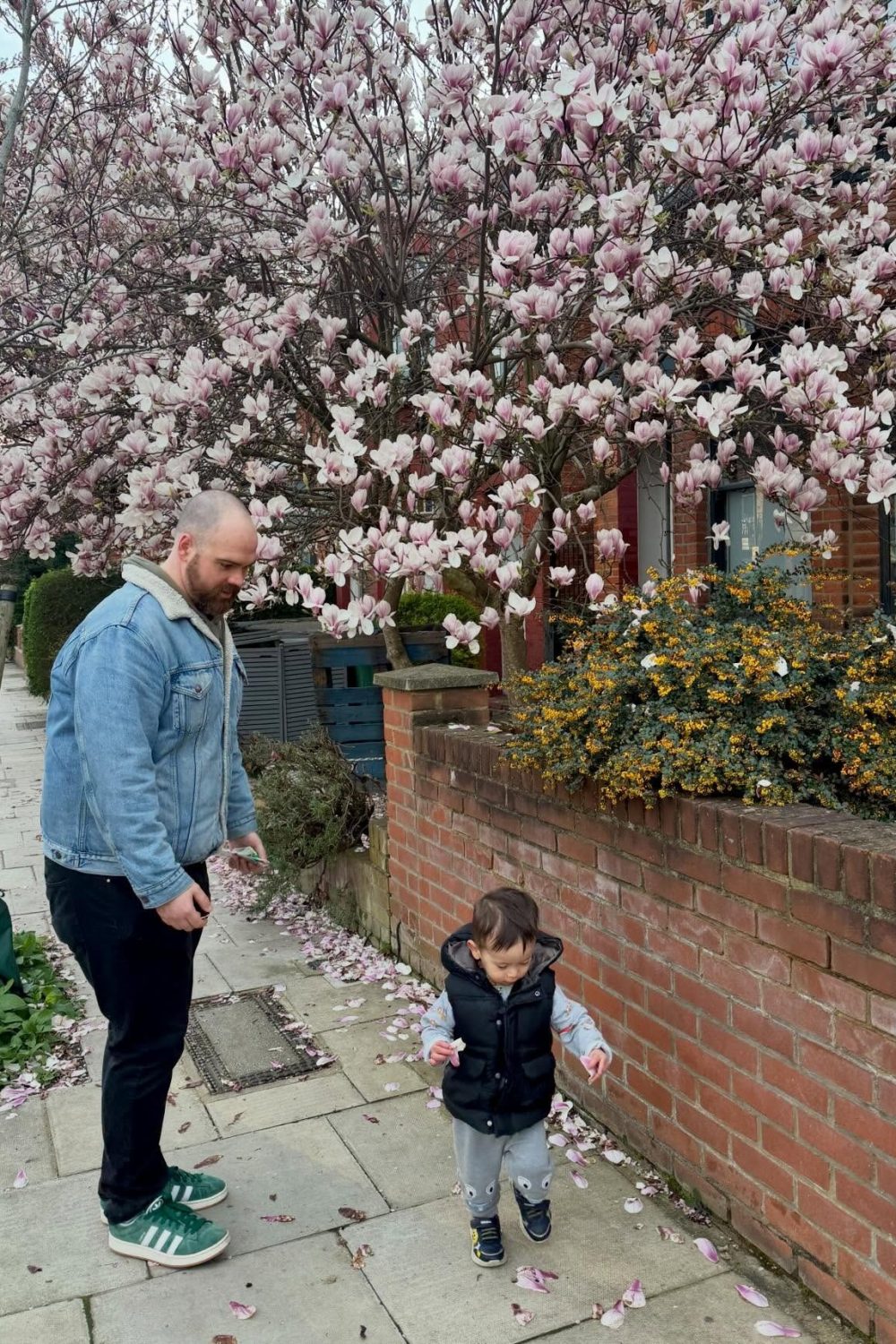 imgi_6_651883312_17906383935366913_3398692261974325350_n