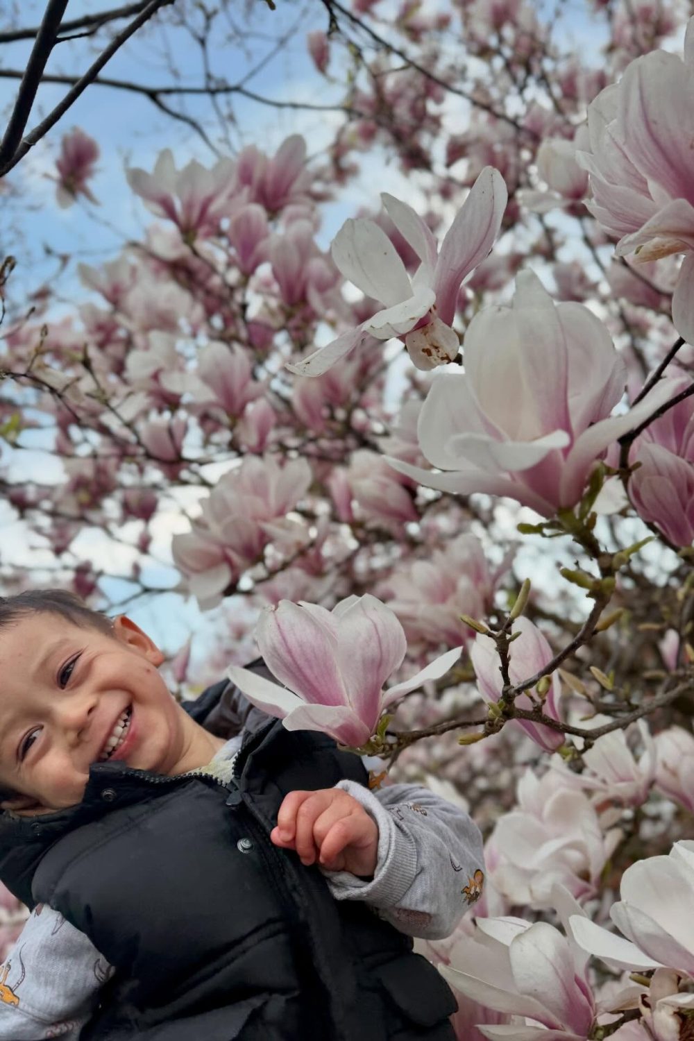 imgi_7_651606326_17906383764366913_3430019267363631182_n