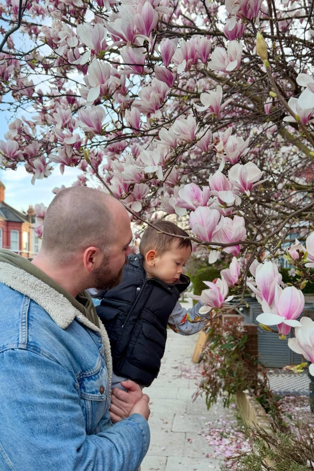 imgi_8_652426621_17906383662366913_6674222054247955229_n